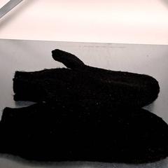 Gloves, as reported by Keolis Lund using iLost