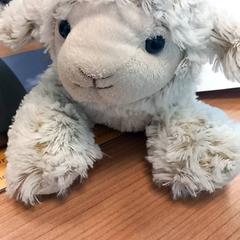 Kosete leke, som rapportert av RRReis Veluwe Zuid - Ede ved bruk av iLost