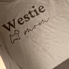 T-shirt Grey, amint azt Mövenpick Hotel Amsterdam City Centre az iLost segítségével jelentette.