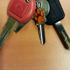 Sleutel/key, a été signalé par Vrije Universiteit Brussel (VUB) utilisant iLost