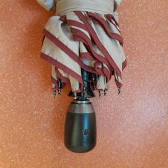 折り畳み傘 beige がiLostで TCL によって報告されました