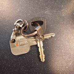 Sleutelbos, som rapportert av Blauwnet Zwolle ved bruk av iLost