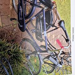 Bicicleta Gazelle Blauw, segons ha informat Gemeente Roermond mitjançant iLost