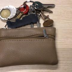 Sleutels, gemeldet von Gemeente Arnhem über iLost