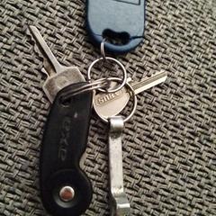 Sleutelbos, gerapporteerd met iLost