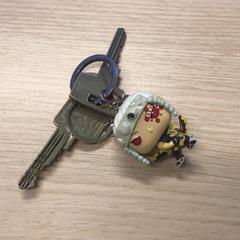 Kulcsok, amint azt Gemeente Arnhem az iLost segítségével jelentette.