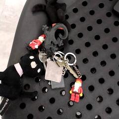 Klíčenka 5 sleutelhangers en 2 knuffeltjes, jak nahlášeno Arriva Infoshop Enschede pomocí iLost