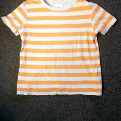 Camisa Kind, gestreept, ha sido reportado por Burgers' Zoo con iLost