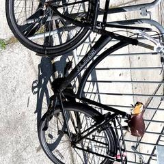 Bici da donna Spirit, come riportato da Stadswerk072 utilizzando iLost