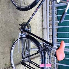 Herenfiets Aldo, zoals gemeld door Stadswerk072 met iLost