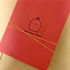 Agenda Pink, a été signalé par Mövenpick Hotel Amsterdam City Centre utilisant iLost