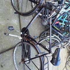 Bicicleta de hombre gazelle, ha sido reportado por Stadswerk072 con iLost