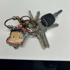 Klíčenka bruin, jak nahlášeno Stad Hasselt pomocí iLost