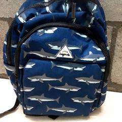 Mochila, como reportado por Arriva Oost-Brabant utilizando o iLost