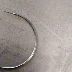 Earring, as reported by Arriva Friesland / Groningen using iLost