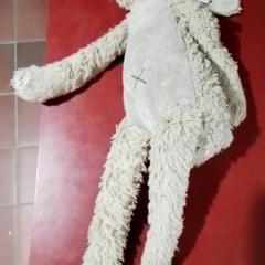 Knuffel, as reported by Apenheul using iLost