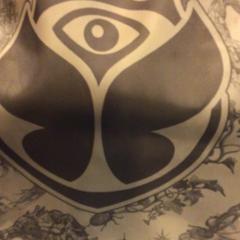 Mochila TML rugzak global journey D.A., ha sido reportado por W1 - Tomorrowland con iLost