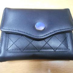 Carteira - Ludwiczak, segundo informou Centraal magazijn usando iLost