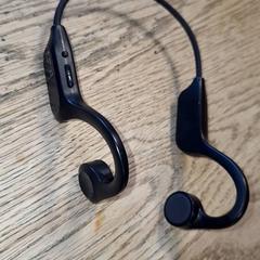 Oortjes, segundo informou Qbuzz DMG usando iLost