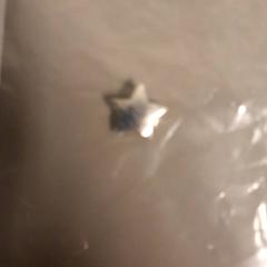 Oorbel Zilver, zoals gemeld door Zuyderland MC Sittard-Geleen met iLost