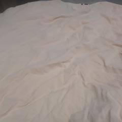 T shirt Perzik, ha sido reportado por Arriva Friesland / Groningen con iLost