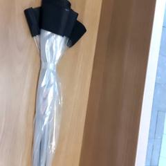 Deštník Transparant, jak nahlášeno Arriva Limburg Zuid pomocí iLost