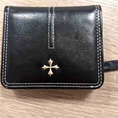 Držitel karty Fluiter, jak nahlášeno RRReis IJssel-Vecht Lelystad pomocí iLost