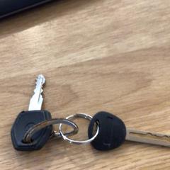 Clau, segons ha informat Gemeente Alkmaar mitjançant iLost