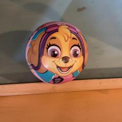 Míč, jak nahlášeno Familie Resort Molenwaard pomocí iLost