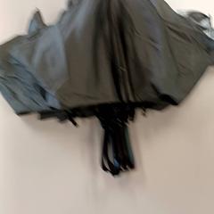 우산, iLost를 사용하여 Regio Antwerpen - Brussel에 보고됨