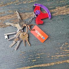 Sleutels, som rapporterats till iLost