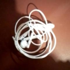 Oordopjes, as reported by Apenheul using iLost