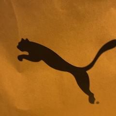 Purchase puma, as reported by Designer Outlet Roermond using iLost