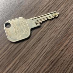 Chiave di casa, come riportato da Pathé Ede utilizzando iLost