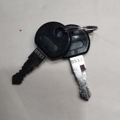 2 kleine sleuteltjes, iLost에 보고됨