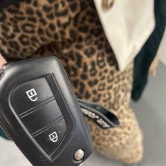 Auto sleutel a été signalé sur iLost