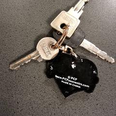 İLost kullanarak Breng Nijmegen tarafından bildirildiği gibi Anahtarlık