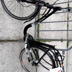 Bicicleta femenina promove, segons ha informat Stadswerk072 mitjançant iLost