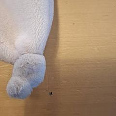 Knuffel, ha sido reportado por Avonturenboerderij Molenwaard con iLost