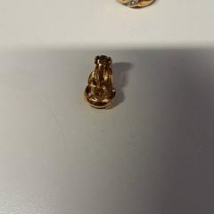 Kolczyki Goud, zgłoszono przez St. Antonius Ziekenhuis Nieuwegein przy użyciu iLost