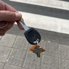 sleutelbos met oranje label, segons s'ha informat a iLost