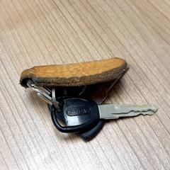 Nøkkelring, som rapportert av Connexxion Haarlem AML ved bruk av iLost