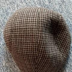 Pet Grijs zwart bruin, come riportato da EBS OV Poeldijk utilizzando iLost