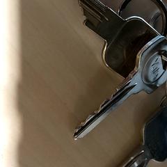 المفاتيح، كما تم الإبلاغ عنه بواسطة Centraal magazijn عبر iLost