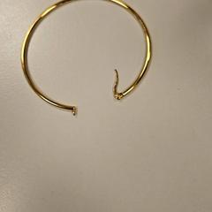 Náušnice, jak nahlášeno Vrije Universiteit Amsterdam pomocí iLost