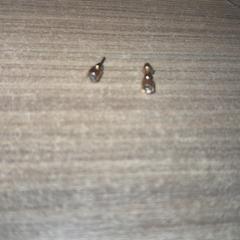 피어싱 Goud/zilver, iLost를 사용하여 Van der Valk Hotel Haarlem에 보고됨