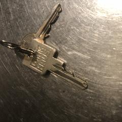 Sleutelbos، كما تم الإبلاغ عنه عبر iLost