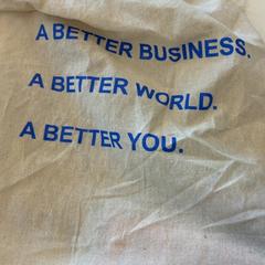 Taška, jak nahlášeno GVB pomocí iLost