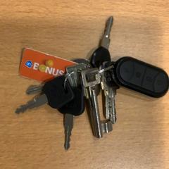 Nøkkelring, som rapportert av Gemeente Amsterdam ved bruk av iLost