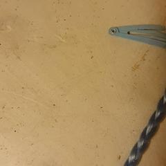 ヘアークリップ Blauw がiLostで DierenPark Amersfoort によって報告されました